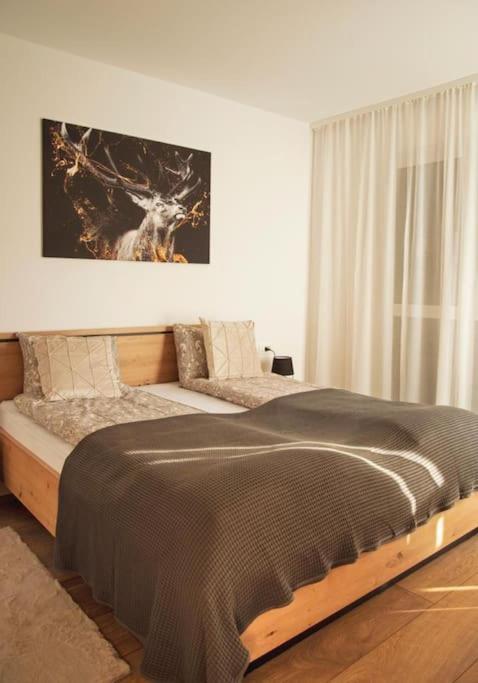5 Dream Apartment 5 Cu Parcare Privata Oradea Buitenkant foto
