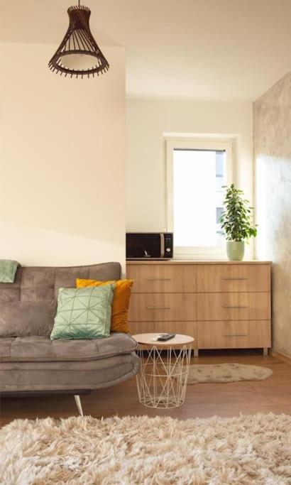 5 Dream Apartment 5 Cu Parcare Privata Oradea Buitenkant foto